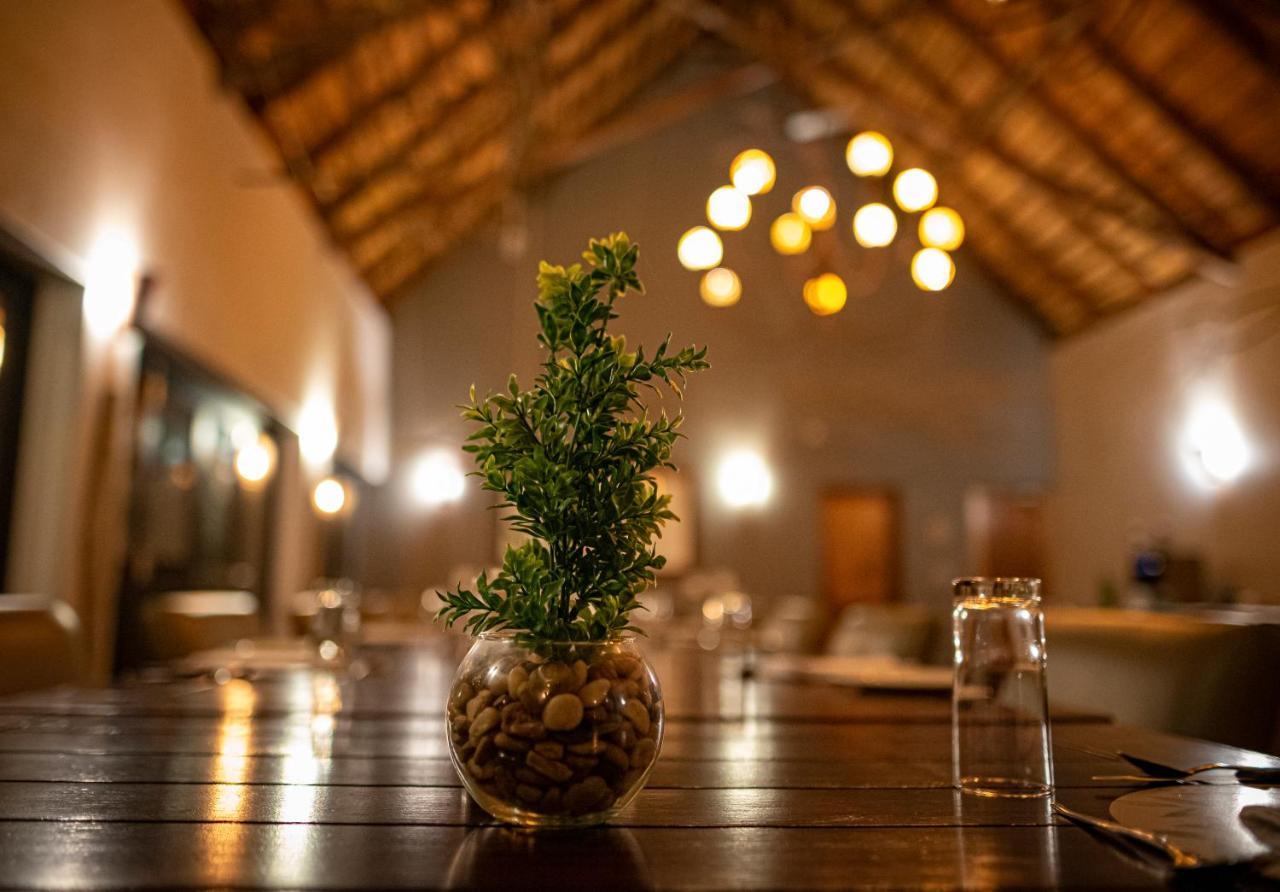 Elephant Plains Game Lodge เขตอนุรักษ์พันธุ์สัตว์ป่าซาบีแซนด์ ภายนอก รูปภาพ