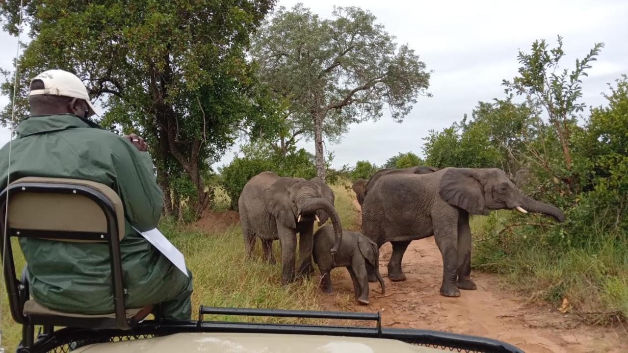 Elephant Plains Game Lodge เขตอนุรักษ์พันธุ์สัตว์ป่าซาบีแซนด์ ภายนอก รูปภาพ