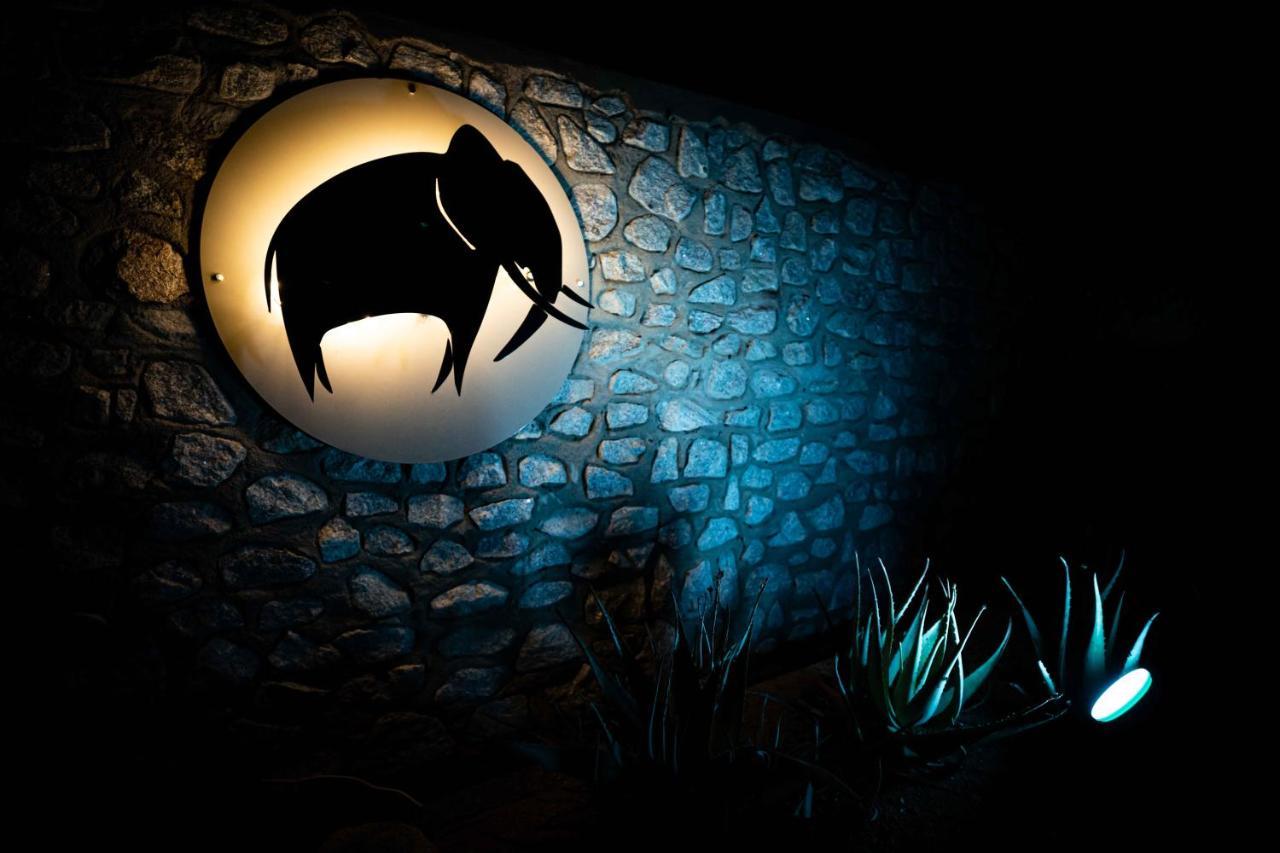 Elephant Plains Game Lodge เขตอนุรักษ์พันธุ์สัตว์ป่าซาบีแซนด์ ภายนอก รูปภาพ