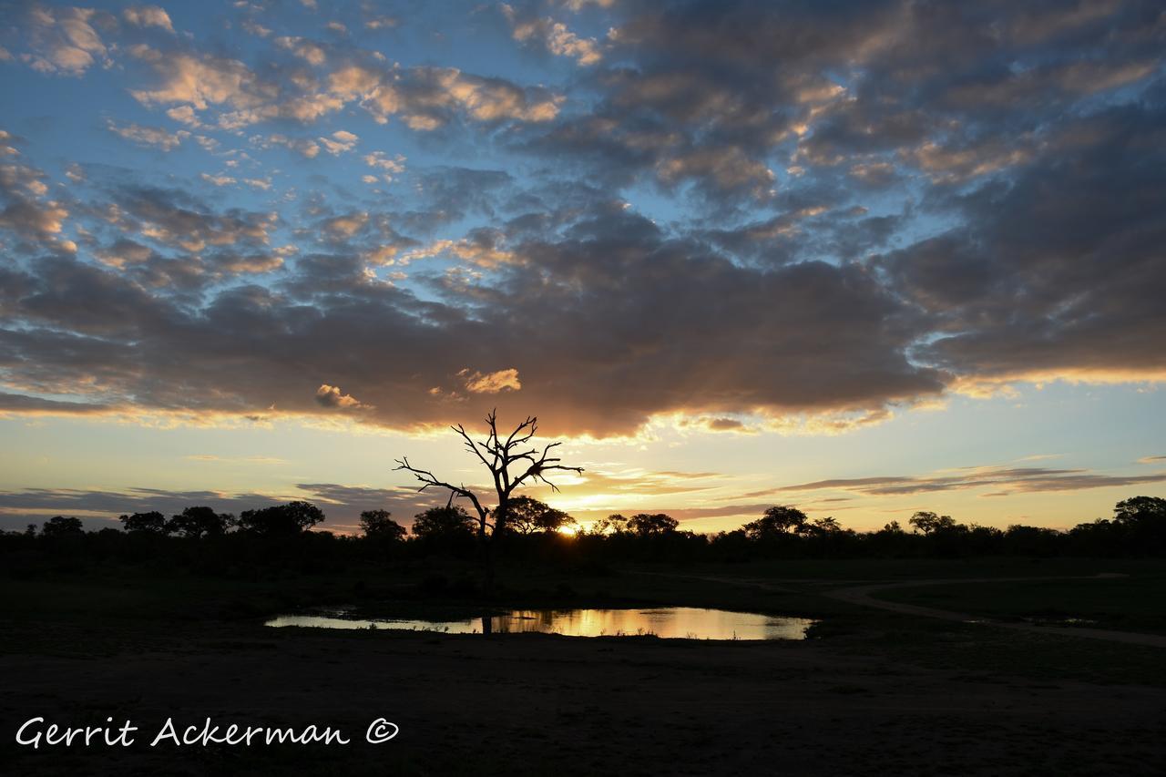 Elephant Plains Game Lodge เขตอนุรักษ์พันธุ์สัตว์ป่าซาบีแซนด์ ภายนอก รูปภาพ